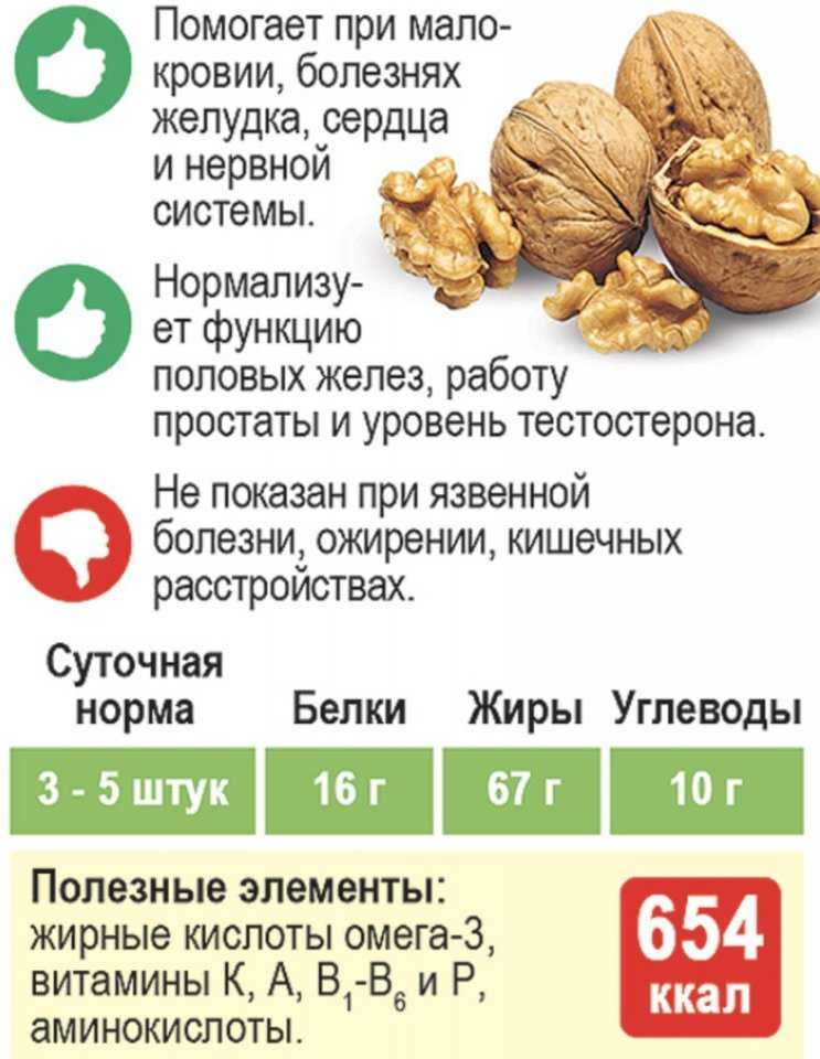 Какие орехи самые полезные — 8 лучших видов
