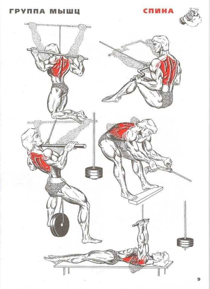 Как накачать крылья в зале - упражнения на широчайшие мышцы спины