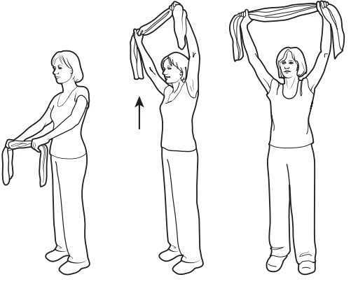 Упражнения для мышц рук и плечевого пояса