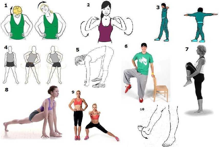 Упражнения для растяжки всего тела и развития гибкости
