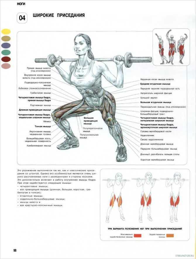 Trx упражнения для новичков, для мужчин и женщин, для пресса и спины, ягодиц и ног, рук и груди
