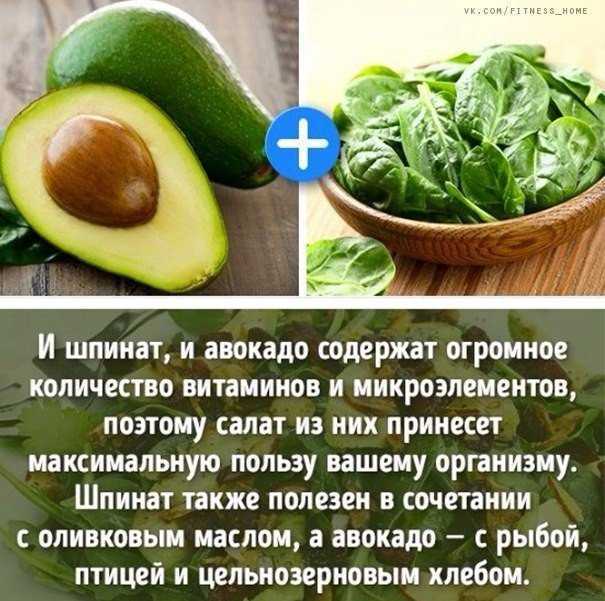 Авокадо - это фрукт или овощ? полезные свойства и сферы применения авокадо. сочетание авокадо с другими продуктами