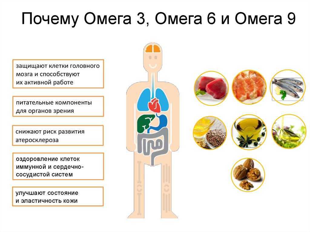 Обзор комплекса жирных кислот Omega 3-6-9 от NOW Свойства каждого компонента, состав добавки и схема применения Противопоказания и стоимость