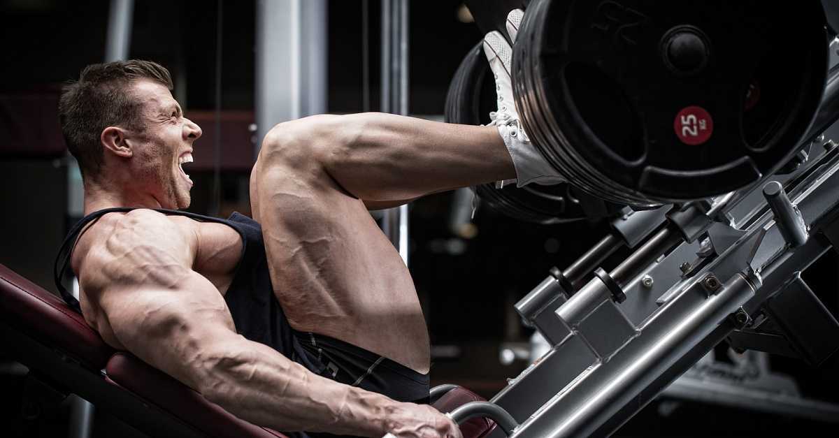 Протеины для роста мышц, вреден ли для здоровья мужчин и женщин, что такое и для чего нужен
