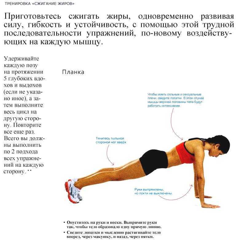 Упражнения для похудения спины в домашних условиях - лучшая тренировка от fitnessera.ru