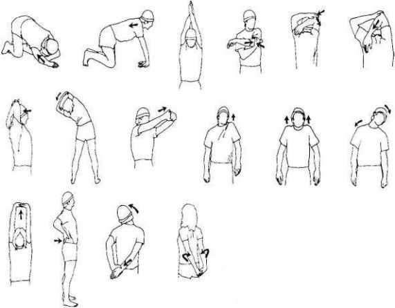 Упражнения для растяжки рук и плеч: примеры, виды, польза