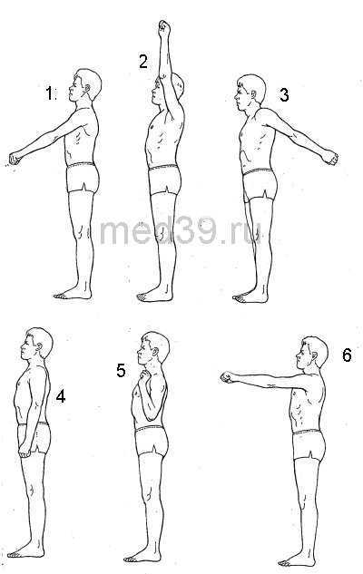 Упражнения для растяжки рук и плеч