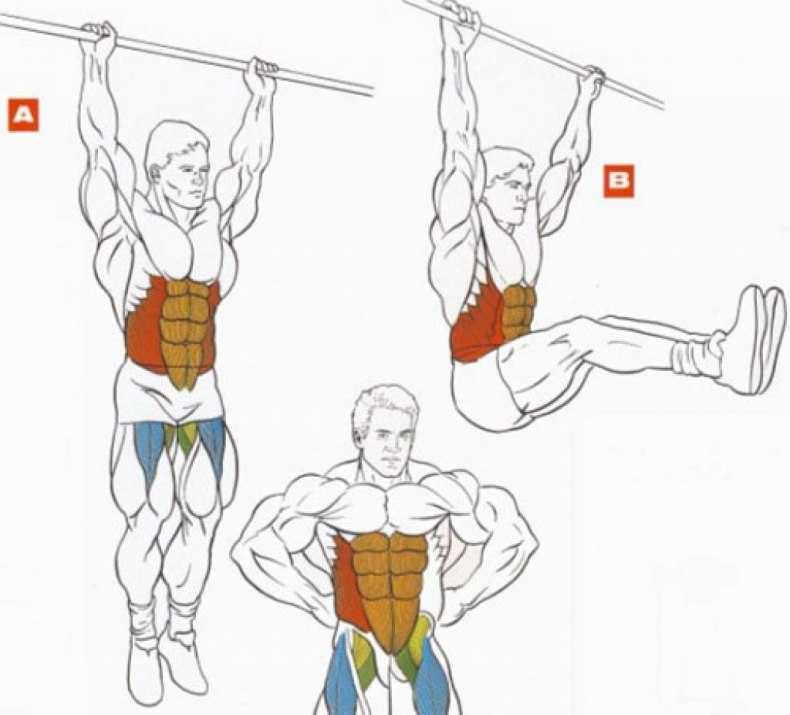 Как тренировать мышцы пресса и добиться появления кубиков