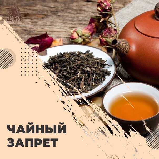 «вчерашний чай – змеиный яд». эксперт – о самом популярном напитке