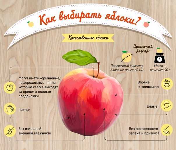 Яблоки: состав и польза для организма