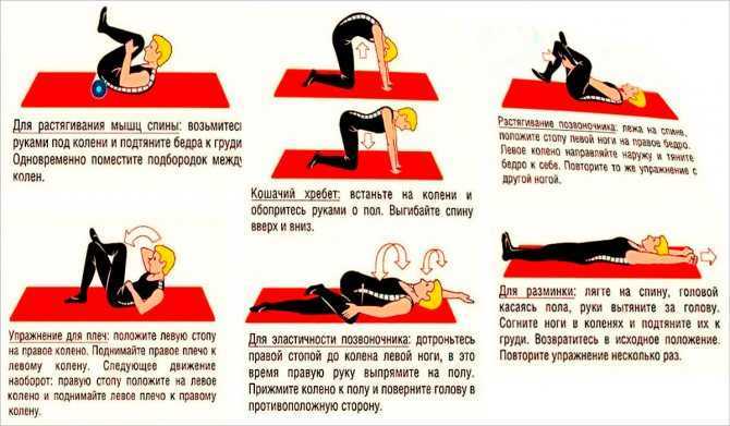 Упражнения для укрепления мышц спины и позвоночника в домашних условиях: коплекс из 20 упражнений