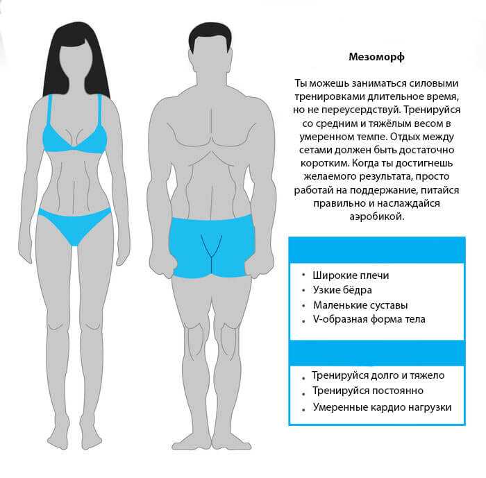 📌типы телосложения — сводная таблица видов. как определить свой?