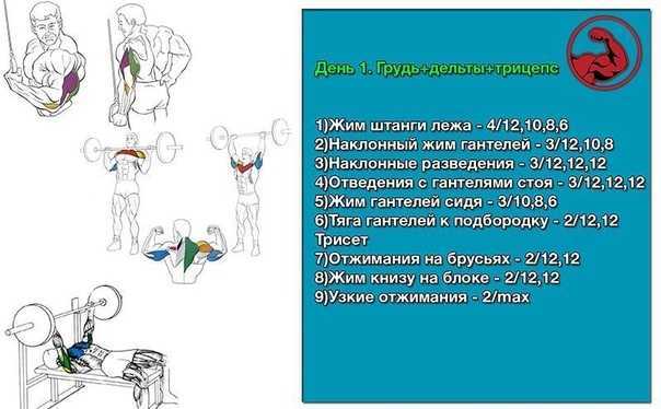 Комплекс упражнений на трицепс с гантелями для домашних условий | rulebody.ru — правила тела