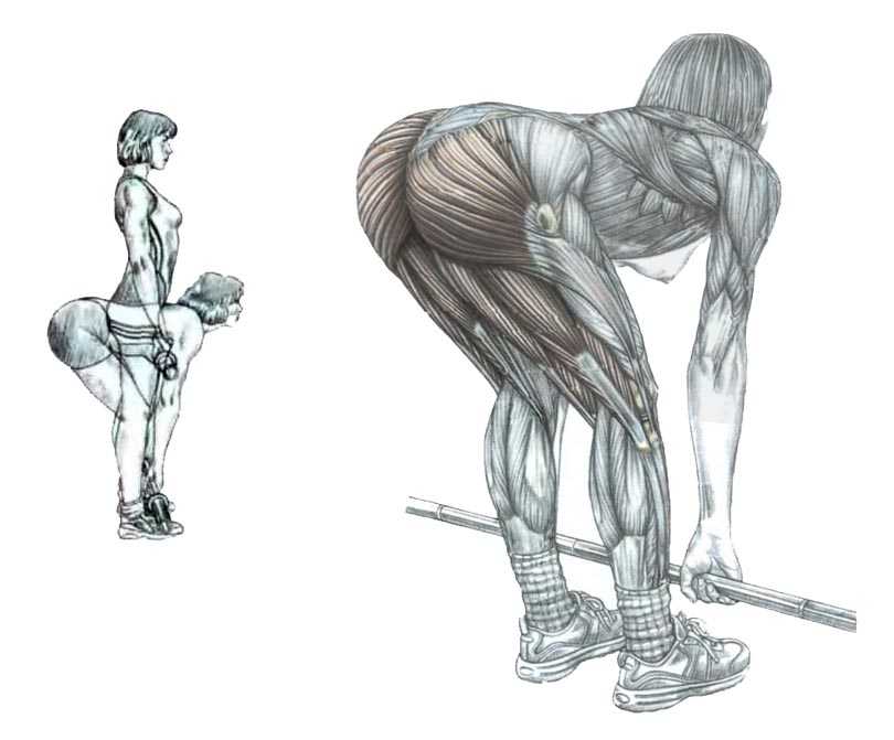 Мертвая тяга: техника выполнения на прямых ногах для женщин и мужчин