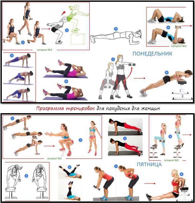 Комплекс упражнений для женщин в тренажерном зале: план тренировки