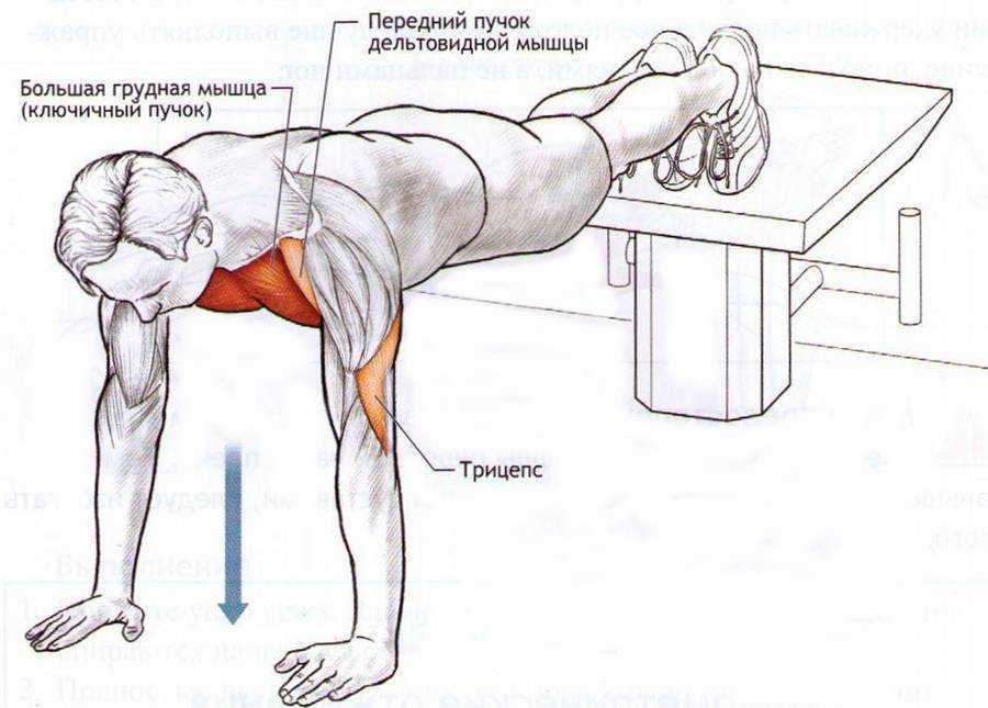 Отжимания на трицепс: проработка трёхглавой мышцы | rulebody.ru — правила тела