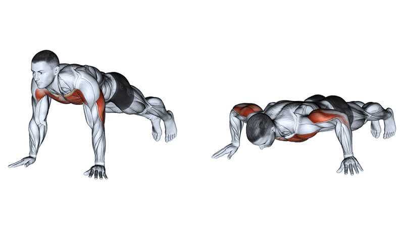 Силовая тренировка на грудь и трицепс с гантелями: 6 упражнений по схеме суперсетов