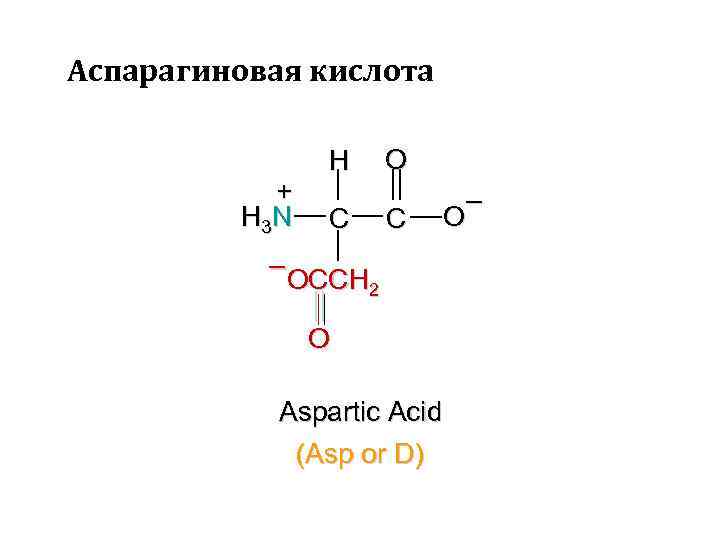Аспарагиновая кислота – что это такое, свойства и в каких продуктах содержится