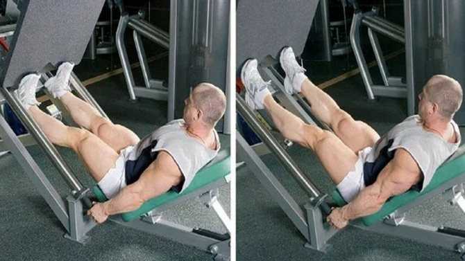 Базовые и изолирующие упражнения для мышц ног