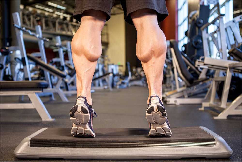 Особенности анатомии, эффективные упражнения и полноценная тренировка икроножных мышц Узнайте как правильно тренировать икроножные мышцы