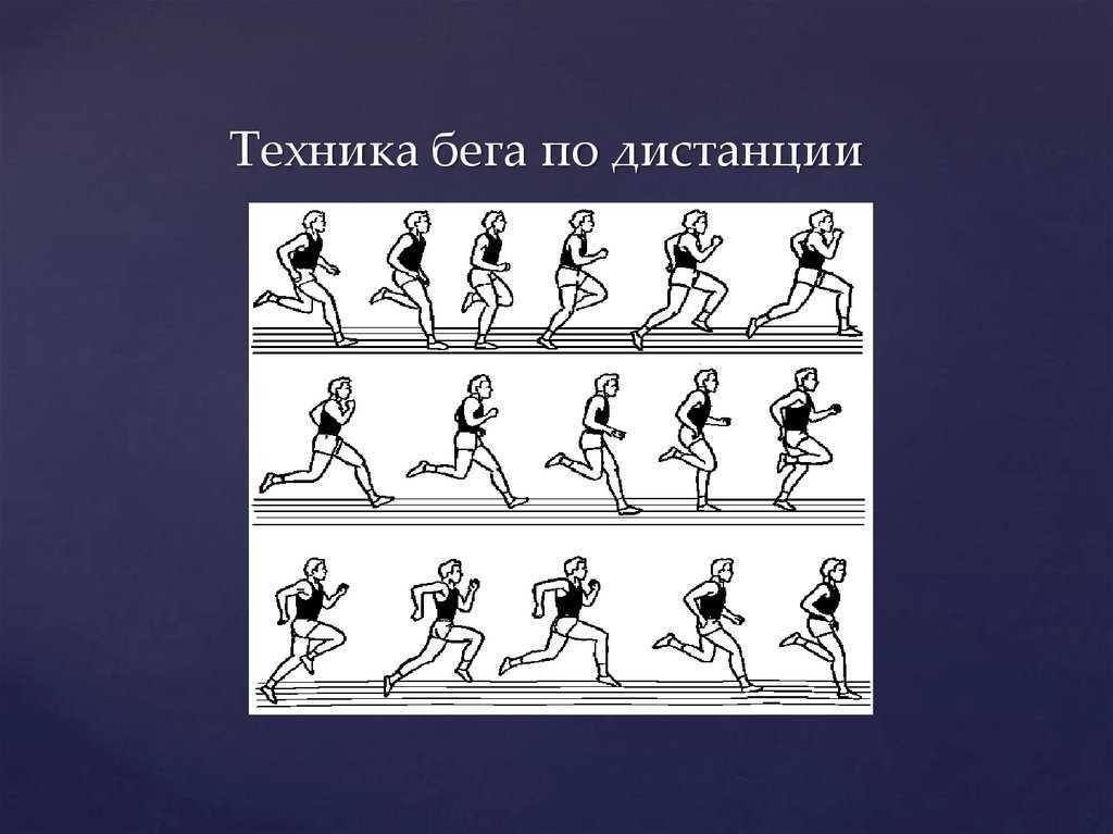 Бег на средние дистанции: техника и развитие выносливости бега