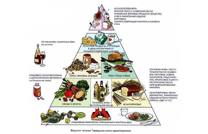 Пищевая пирамида (питание) - food pyramid (nutrition) - abcdef.wiki
