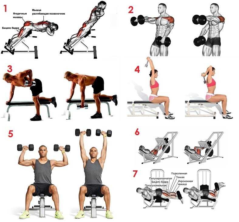 Упражнения для пресса. 10 самых лучших упражнений для мышц живота.