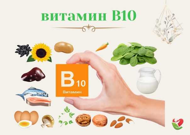 Парааминобензойная кислота (пабк, витамин b10) — свойства, содержание в продуктах