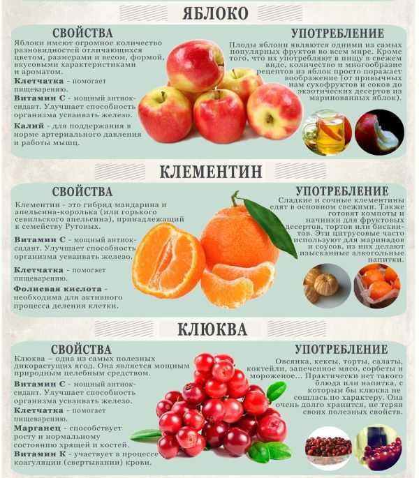 Самые полезные фрукты и овощи: список, топы