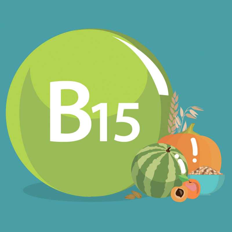 Всё о пангамовой кислоте или витамине B15 Что это такое и для чего она нам нужна Источники вещества, суточная норма и добавки