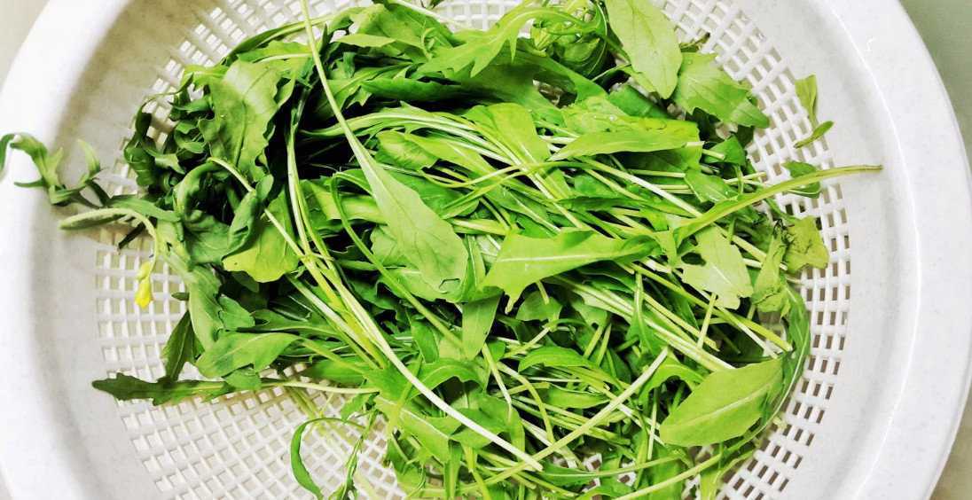 Руккола салат: польза и вред, рецепты для здоровья и красоты