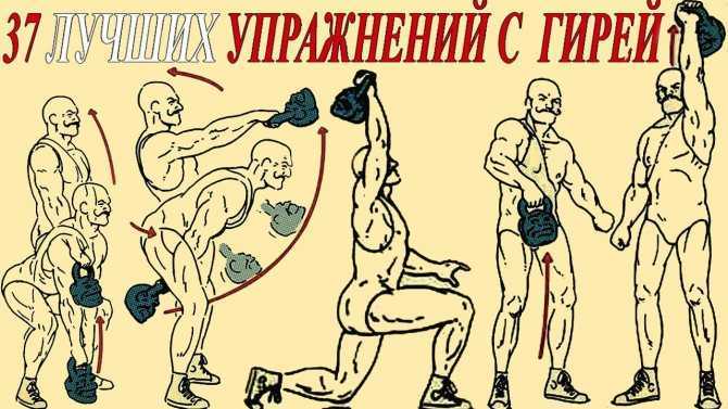 ✅ упражнения с гирей на плечи, грудь и руки – базовый курс. как накачать грудные мышцы при помощи гири - elpaso-antibar.ru