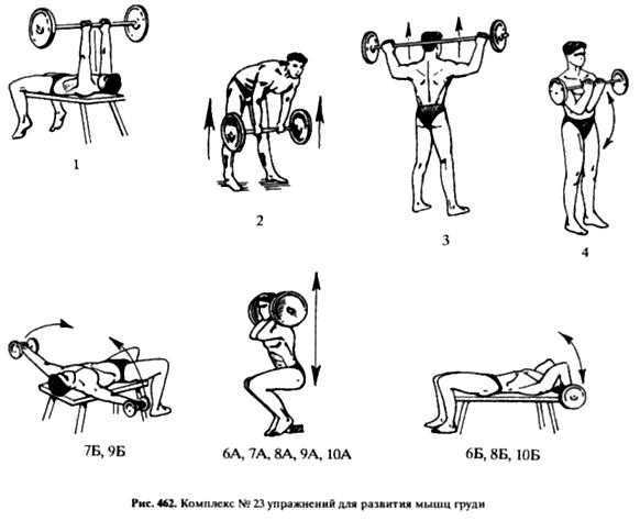 Упражнения со штангой в домашних условиях: недельная программы тренировок для мужчин и девушек