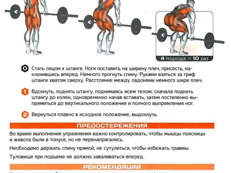 Все виды становой тяги: техника выполнения, разбор ошибок, как правильно делать такое упражнение | rulebody.ru — правила тела