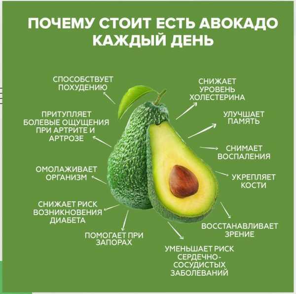 Блюда из авокадо. рецепты быстро и вкусно для похудения, снижения холестерина, вегетарианцев, легкие на завтрак, в сыром виде