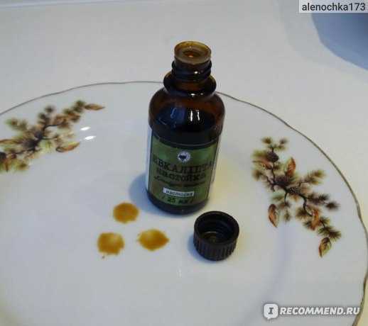 Чай из листьев эвкалипта: польза и рецепты заваривания