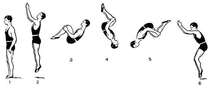 Как сделать заднее сальто: 11 шагов (с иллюстрациями)