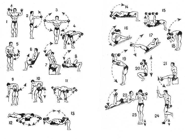 Спина и бицепс – как лучше тренировать эти группы мышц, в один день или в разные Какие и в каком порядке делать упражнения в том и в другом случае
