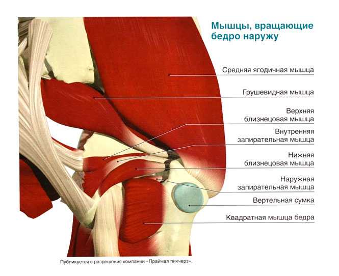 Растяжение подколенного сухожилия. симптомы травмы и лечение растяжения сухожилия.