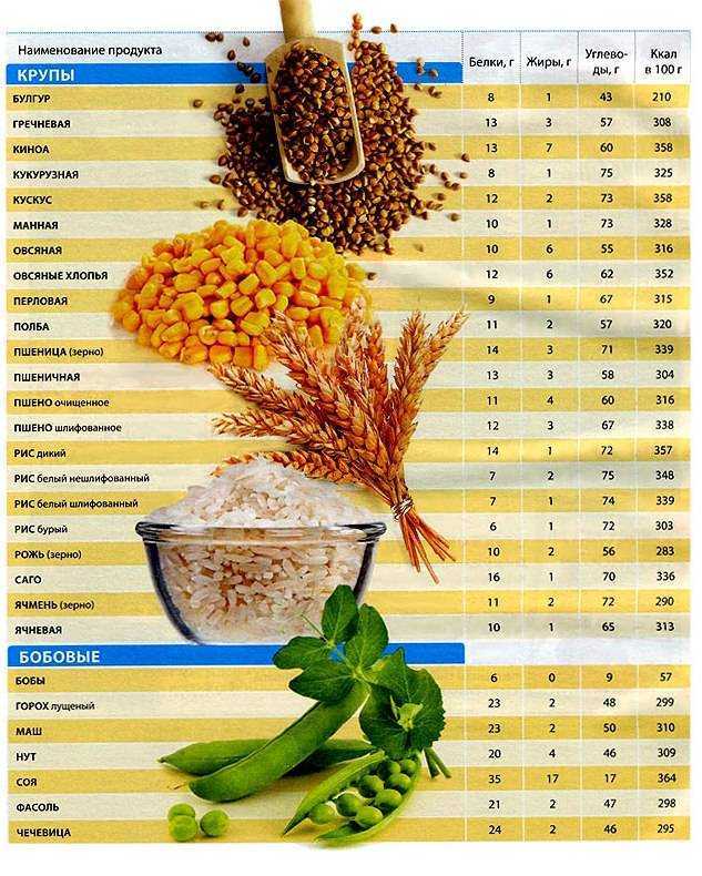 Таблица бжу продуктов в 100 граммах: белки, жиры, углеводы