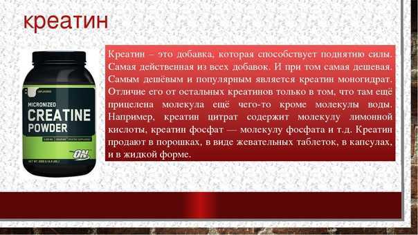 Креатин – больше чем просто добавка к питанию спортсменов? | fpa