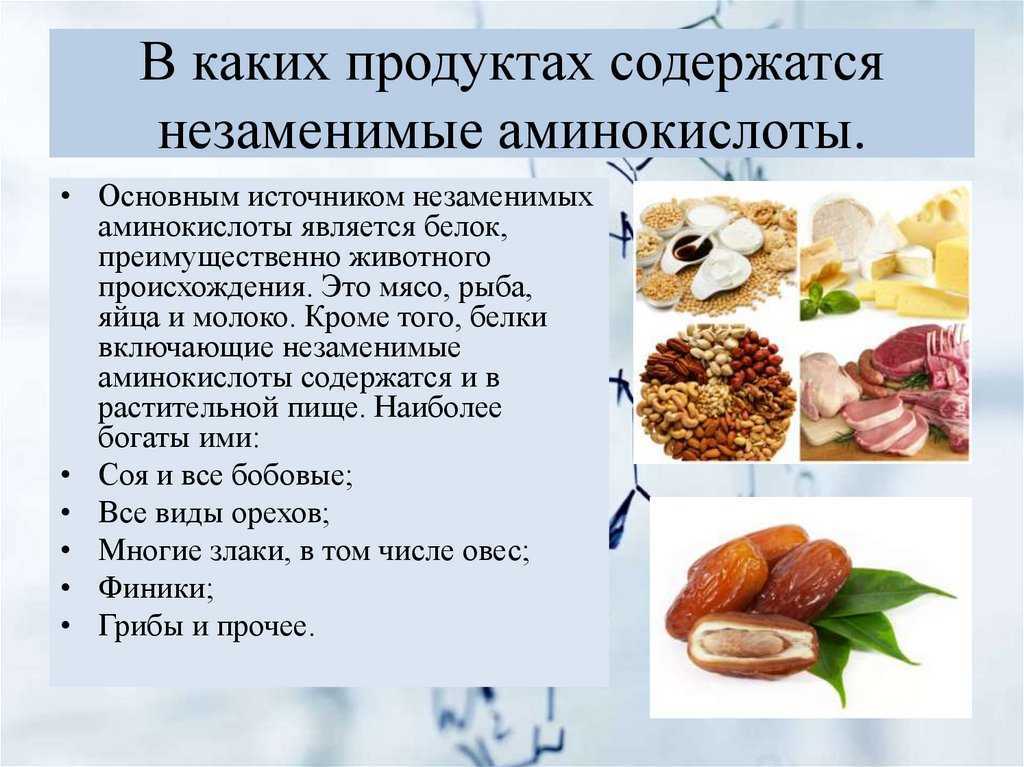 L-цистеин: роль в жизни человека, содержание в продуктах питания, препараты - samchef.ru