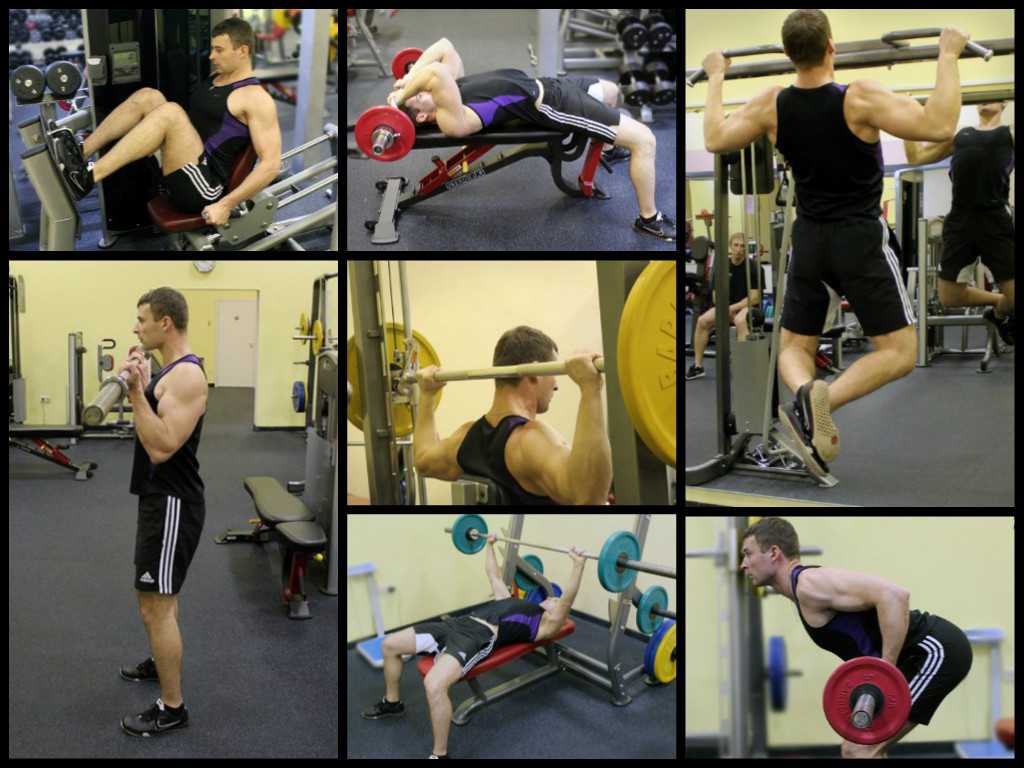 Тренировка спины в домашних условиях: фото, видео, схемы, советы как накачать мышцы собственным весом тела