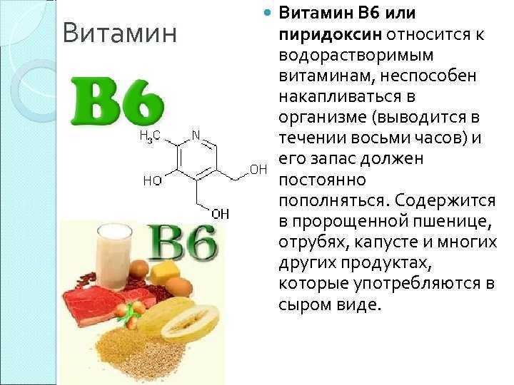 Витамин к2, усвоение кальция и витамина д – как это работает :: polismed.com