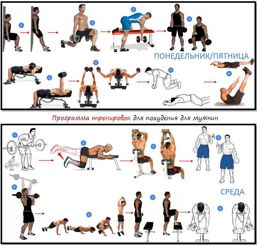 Круговая тренировка – эффективность, упражнения, физиология