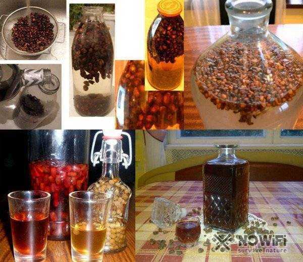 Кедровка: рецепт настойки на кедровых орехах – сайт о винограде и вине