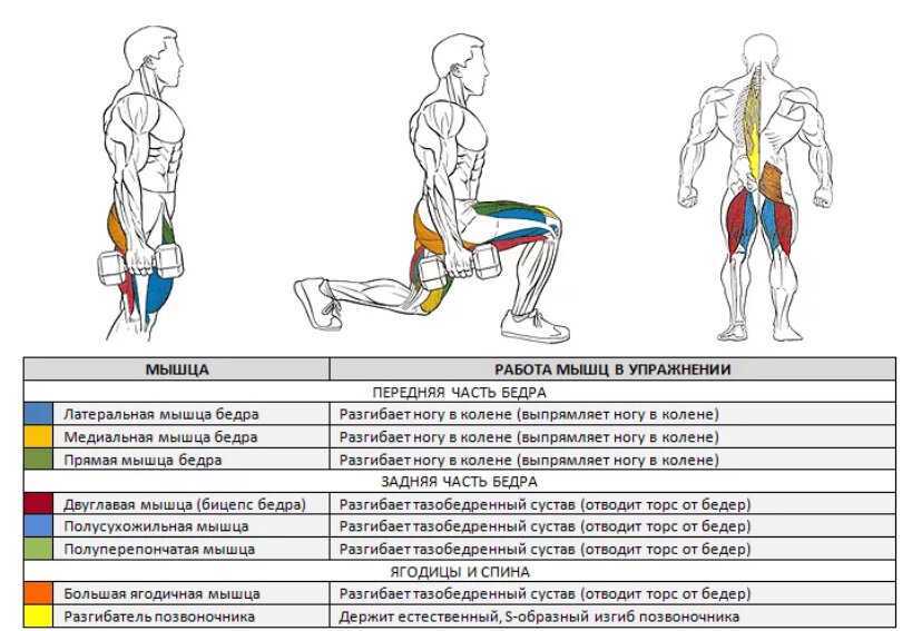 Жим штанги стоя и сидя: польза и вред. уровень нагрузки мышц