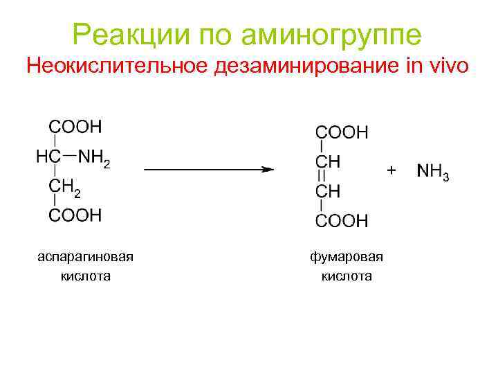 Аспарагиновая кислота + продукты богатые аспарагиновой кислотой