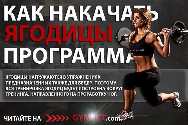 Большая ягодичная мышца — где находится и лучшие упражнения для женщин