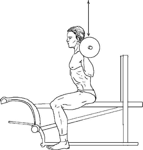 Упражнения на трицепс в тренажерном зале: лучшие базовые и изолирующие комплексы